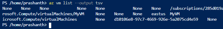 Get the VM list TSV format using Azure CLI commands 